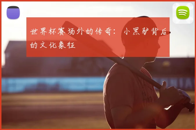 世界杯赛场外的传奇:小黑驴背后的文化象征
