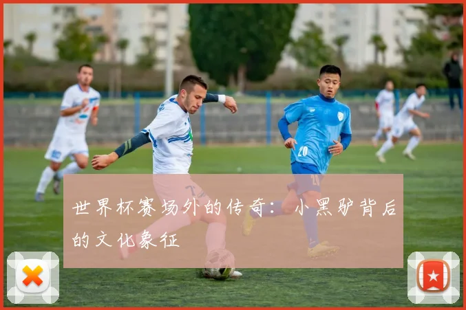 世界杯赛场外的传奇:小黑驴背后的文化象征