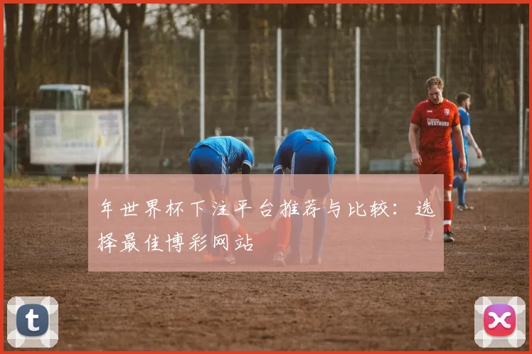 年世界杯下注平台推荐与比较：选择最佳博彩网站